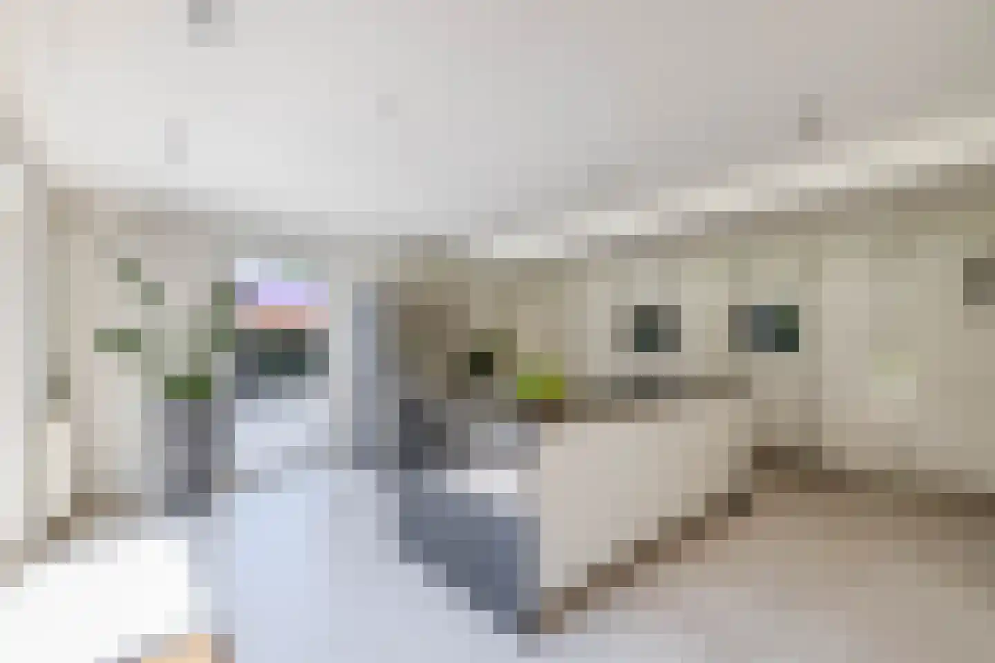 Eendekooi 30 Drunen thumbnail 17