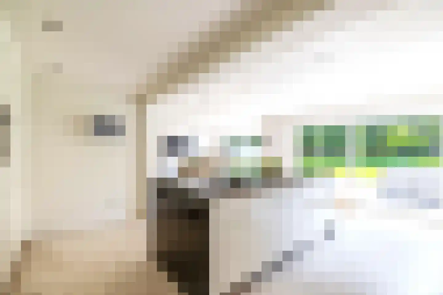 Eendekooi 30 Drunen thumbnail 18