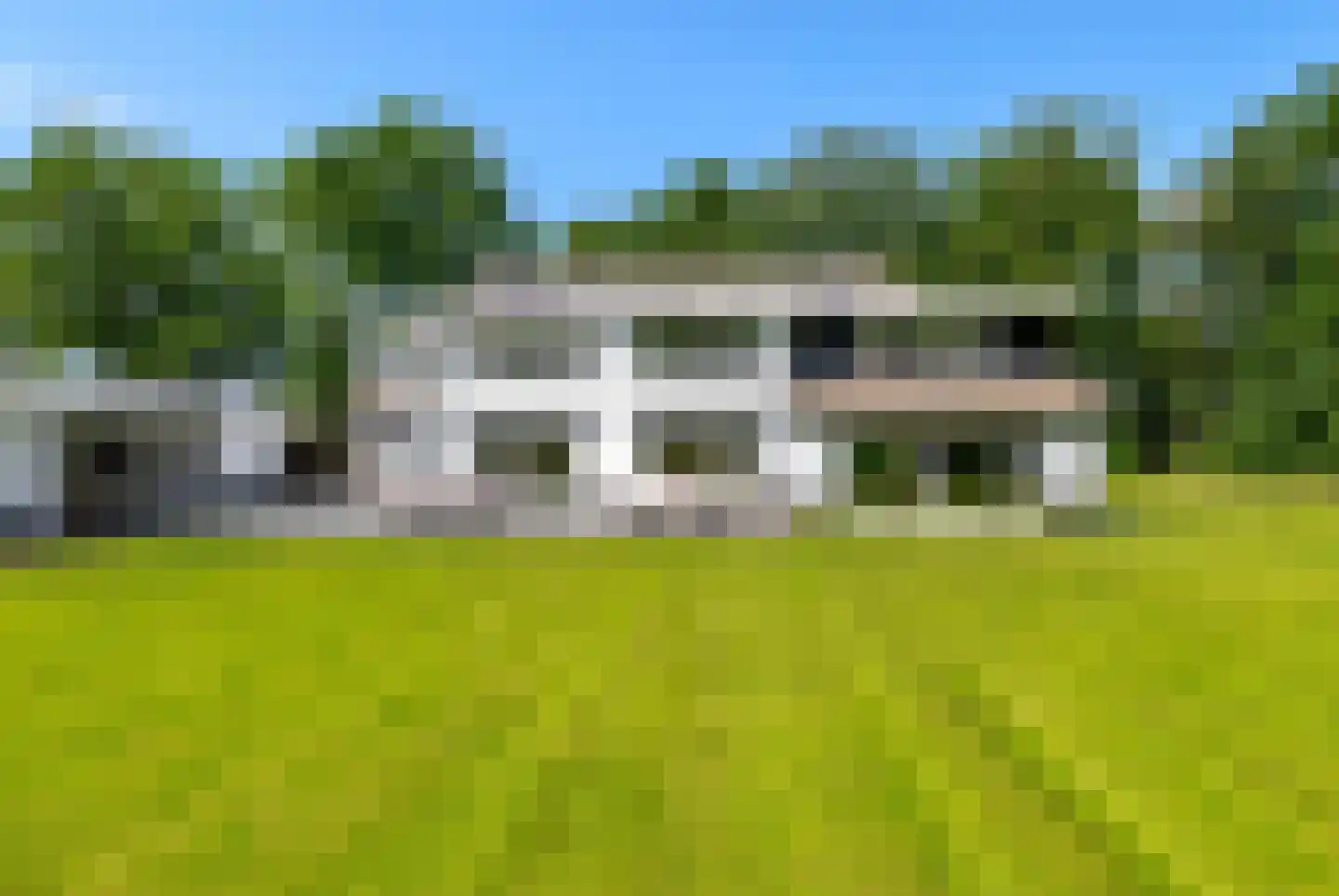 Eendekooi 30 Drunen foto 2