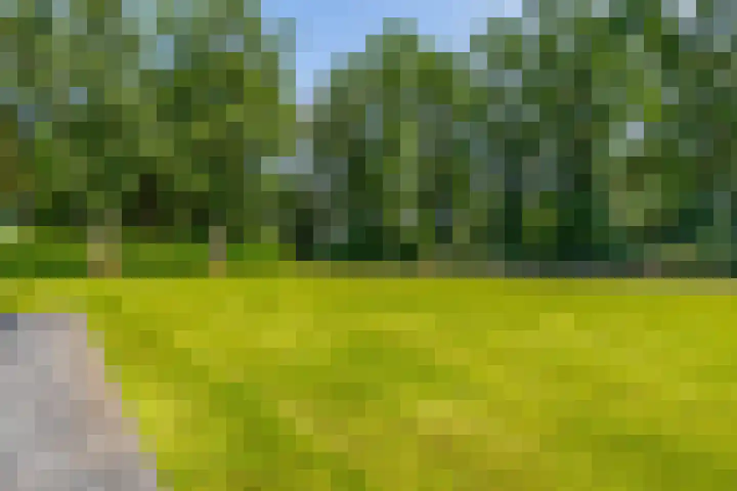 Eendekooi 30 Drunen thumbnail 22
