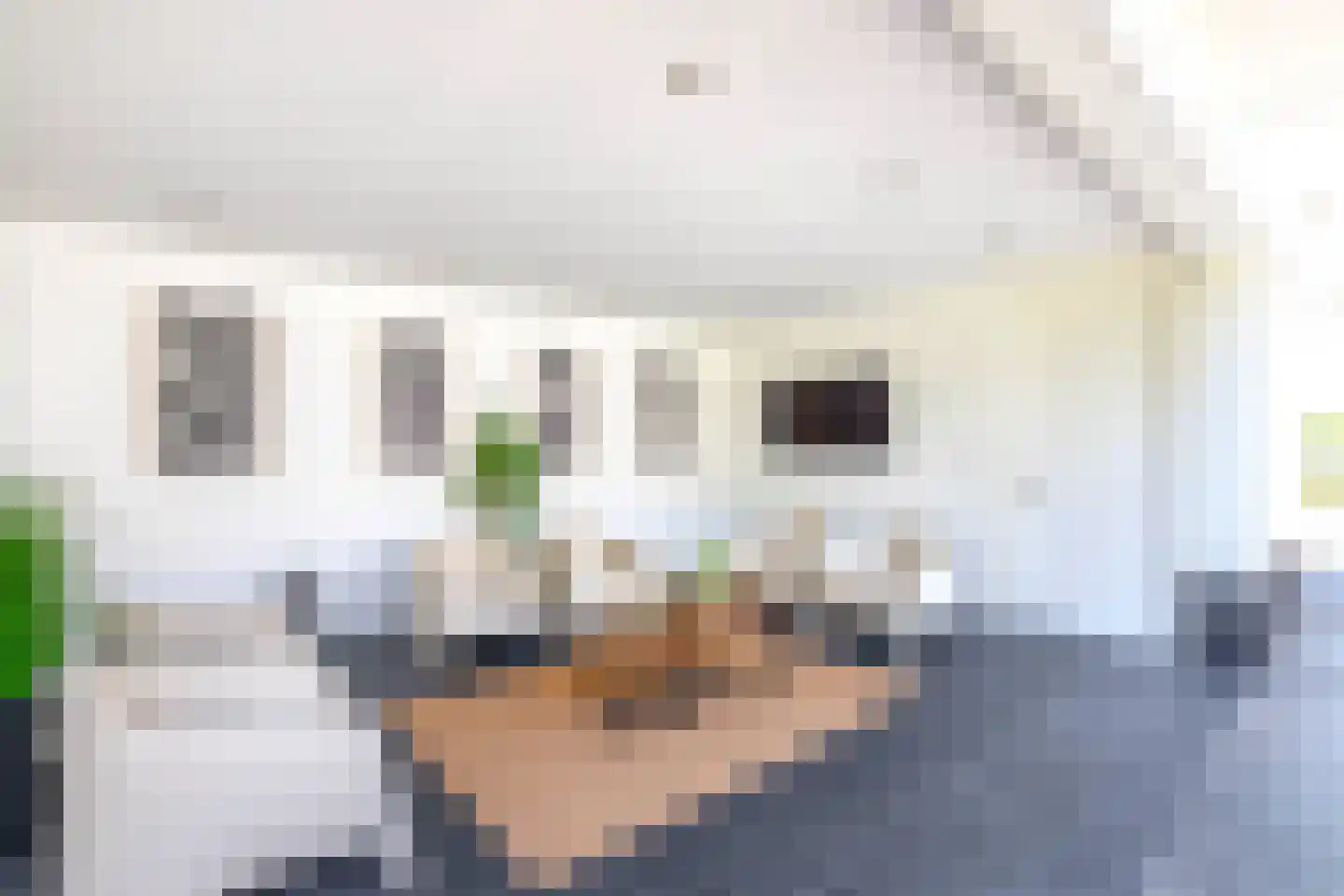 Eendekooi 30 Drunen thumbnail 30