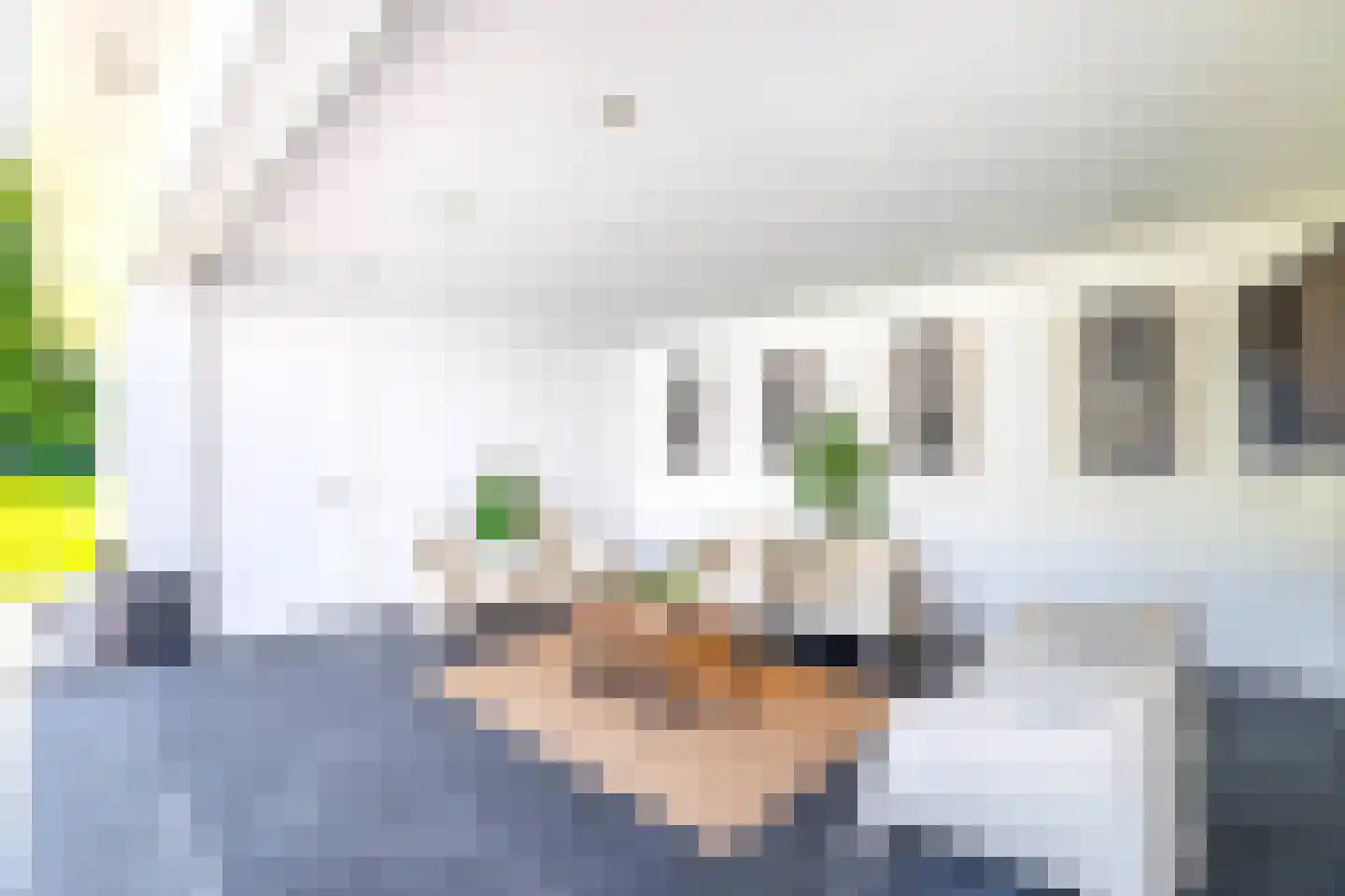 Eendekooi 30 Drunen thumbnail 31