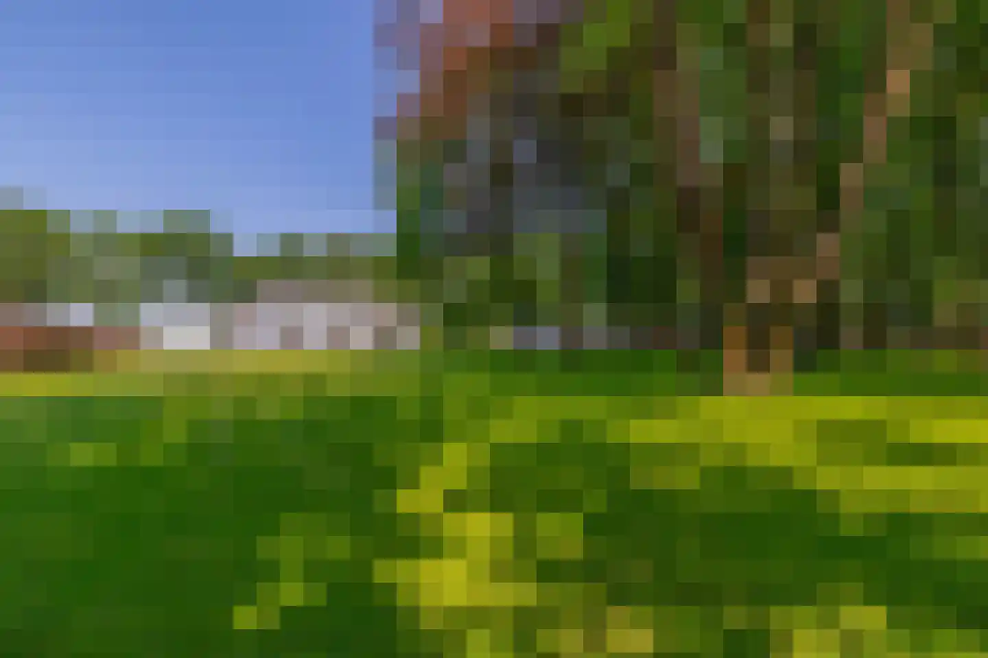 Eendekooi 30 Drunen thumbnail 33