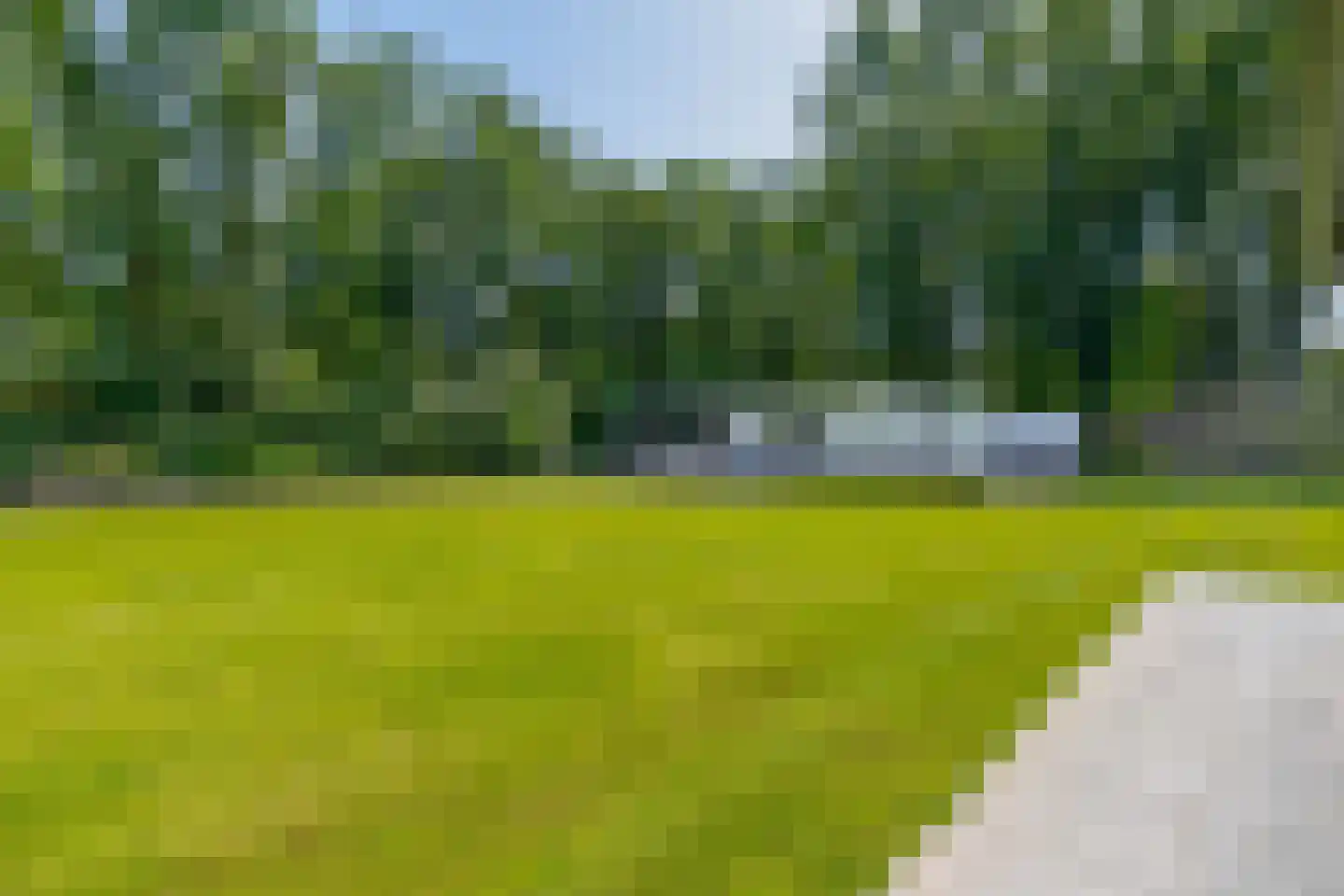 Eendekooi 30 Drunen thumbnail 34