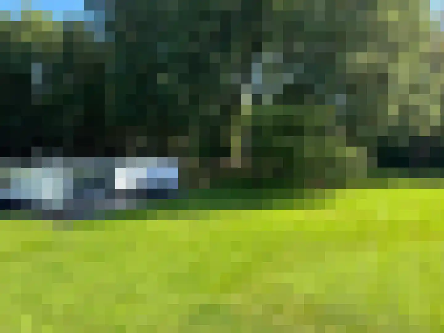 Eendekooi 30 Drunen thumbnail 35