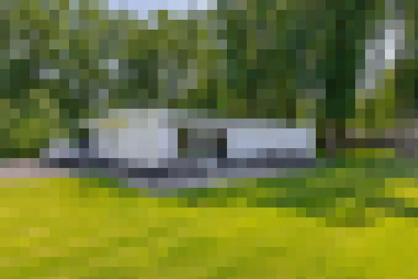 Eendekooi 30 Drunen thumbnail 36