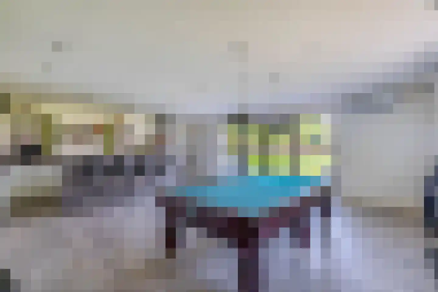 Eendekooi 30 Drunen thumbnail 38