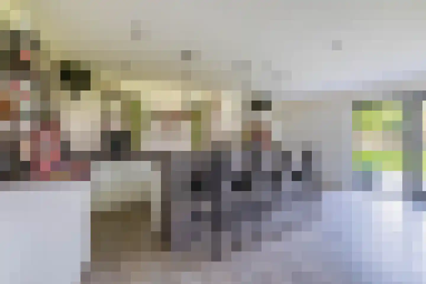 Eendekooi 30 Drunen thumbnail 39