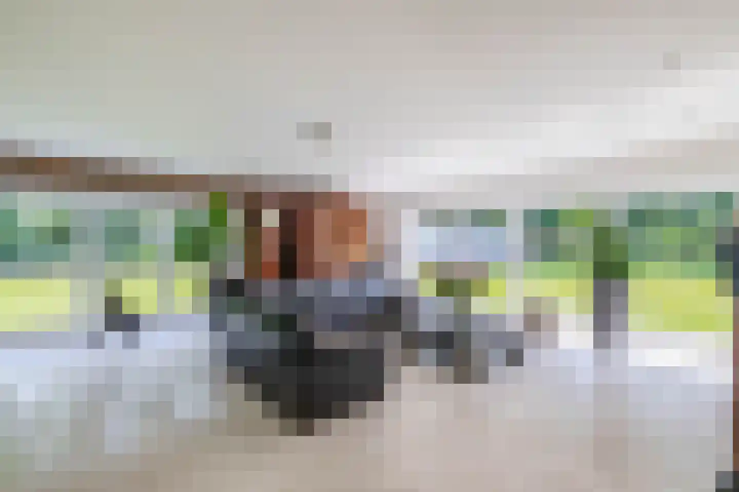 Eendekooi 30 Drunen thumbnail 4