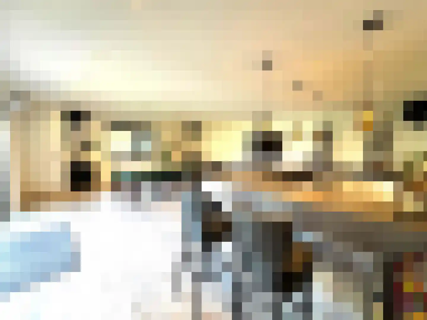 Eendekooi 30 Drunen thumbnail 42