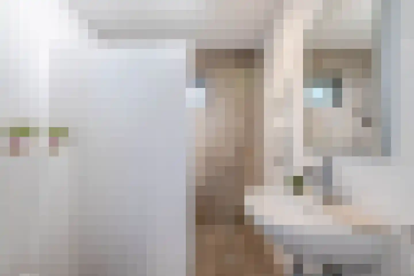 Eendekooi 30 Drunen thumbnail 43