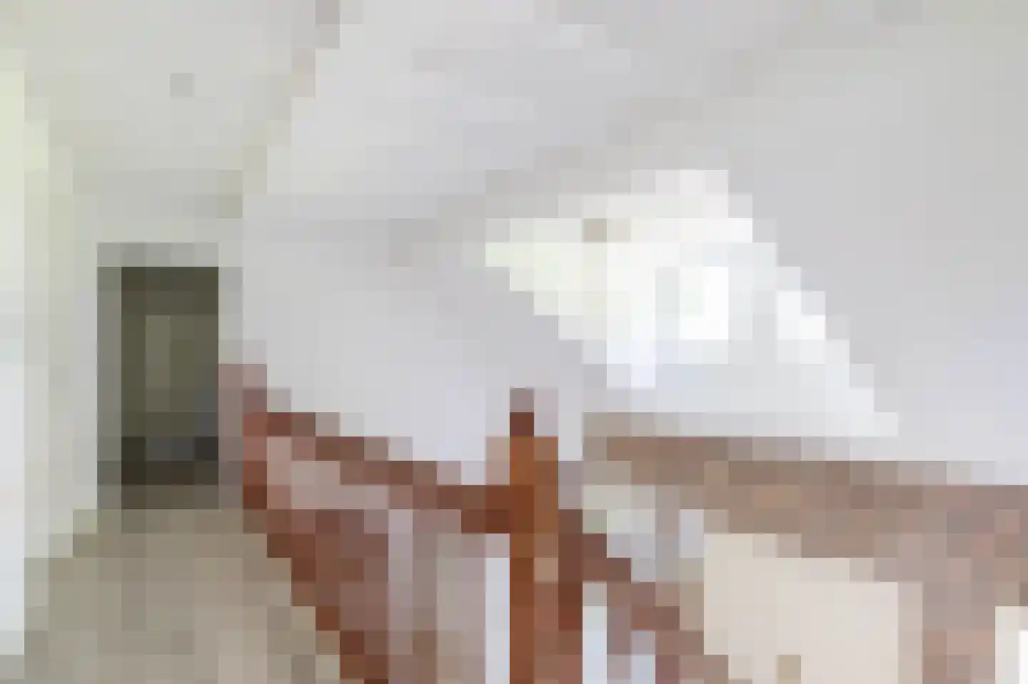 Eendekooi 30 Drunen thumbnail 45