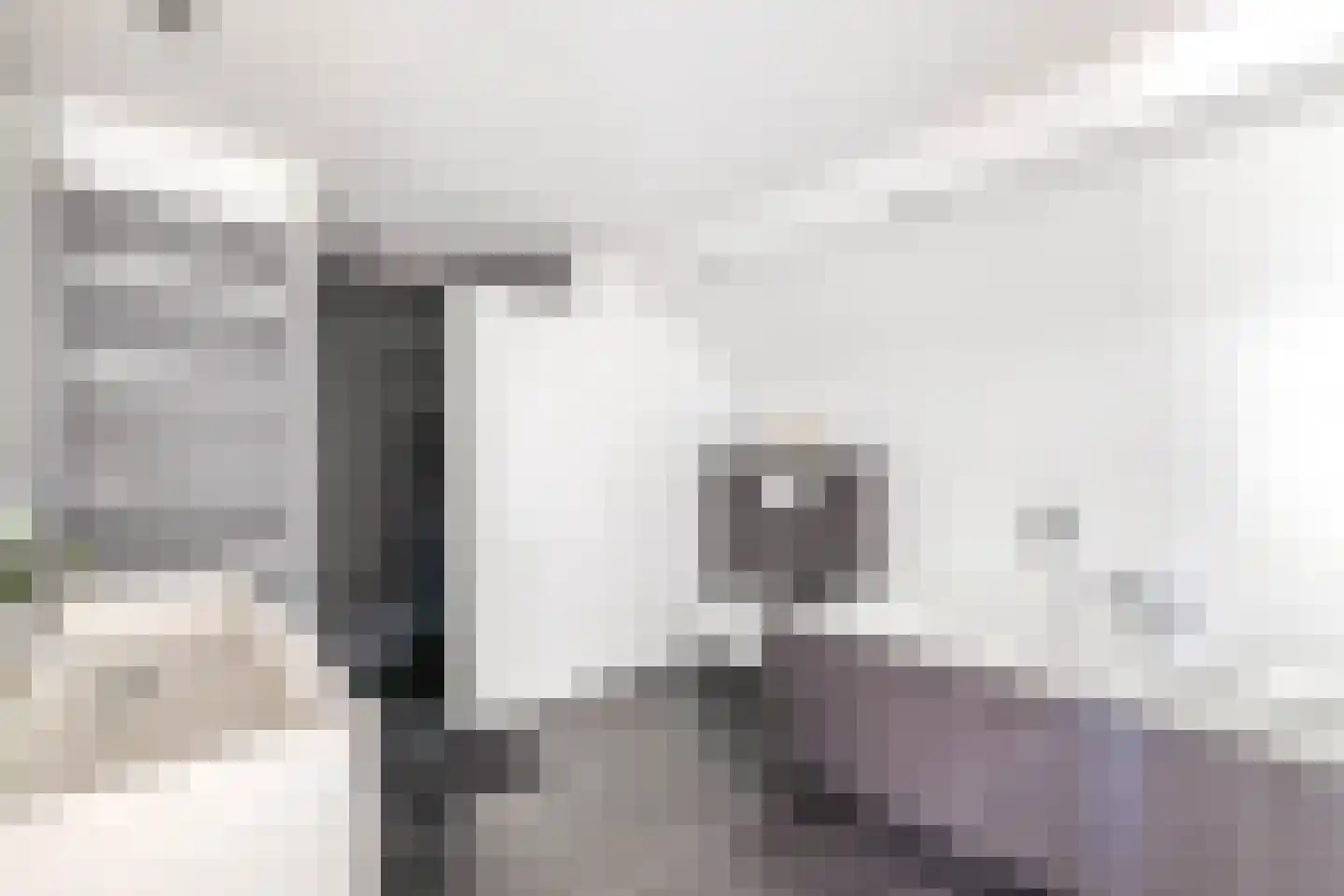 Eendekooi 30 Drunen thumbnail 47