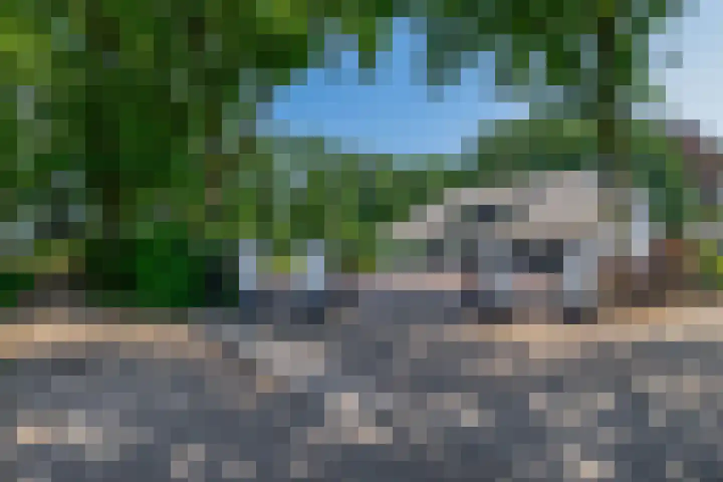 Eendekooi 30 Drunen thumbnail 5
