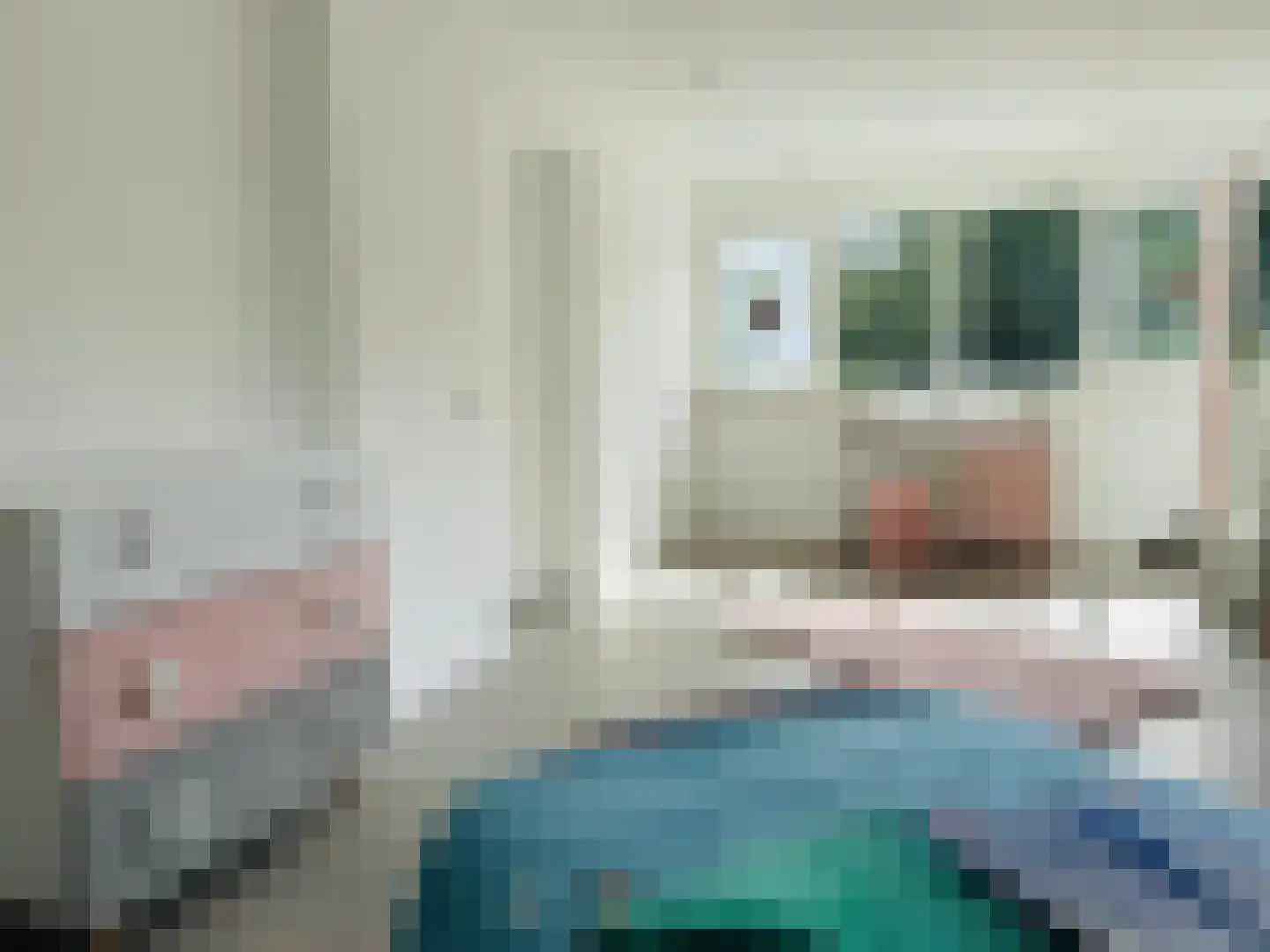 Eendekooi 30 Drunen thumbnail 50
