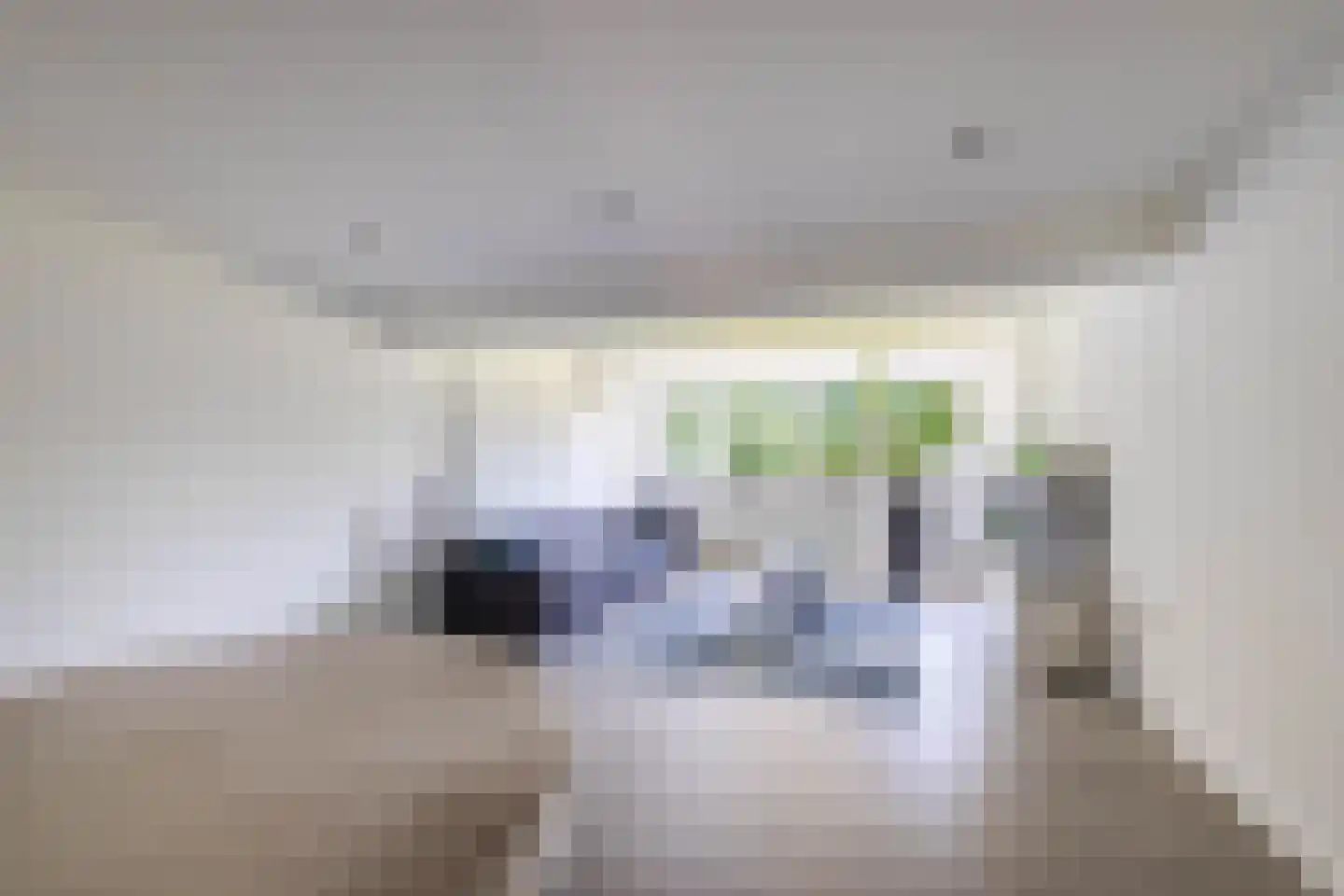Eendekooi 30 Drunen thumbnail 53