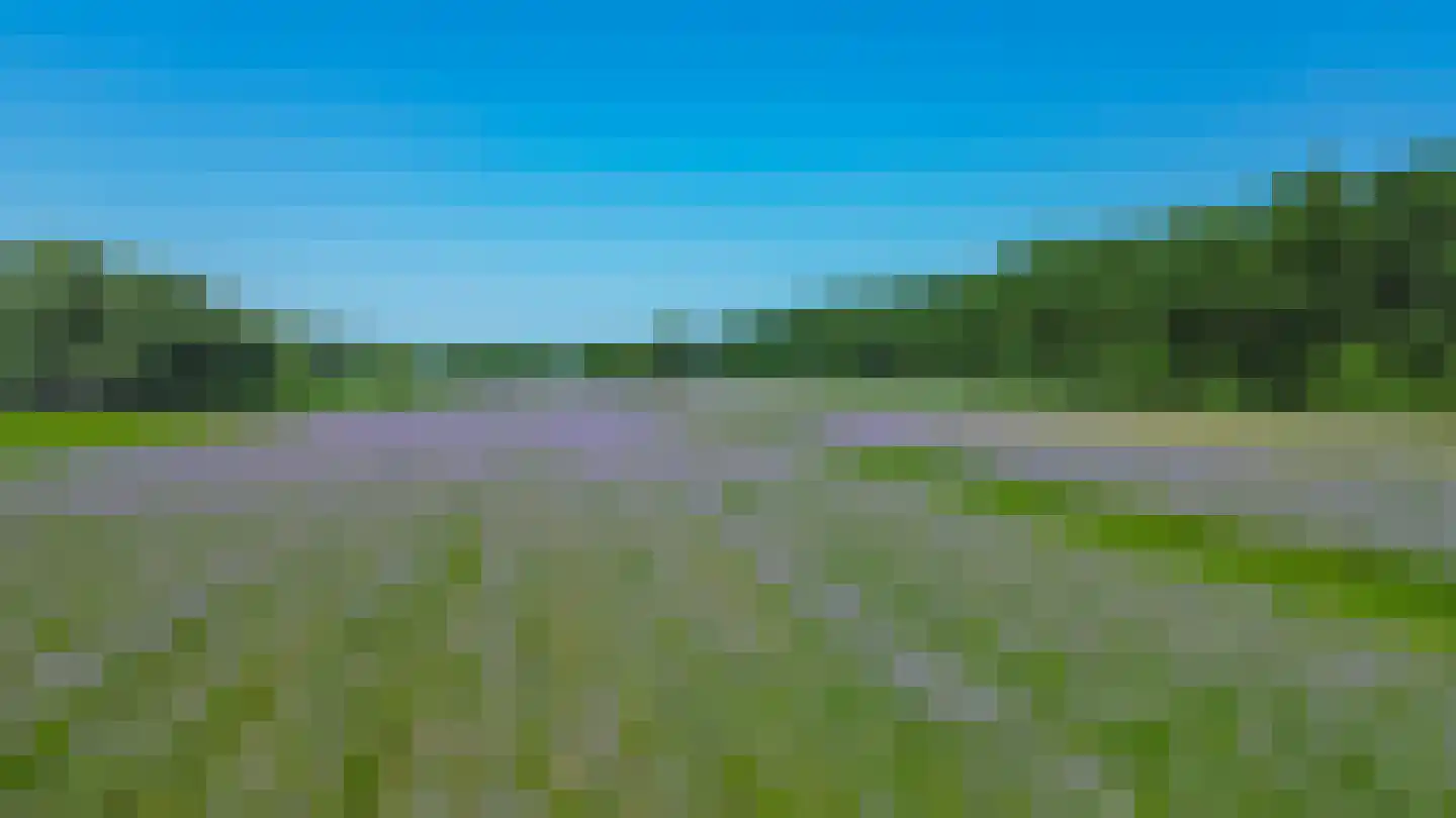 Eendekooi 30 Drunen thumbnail 60