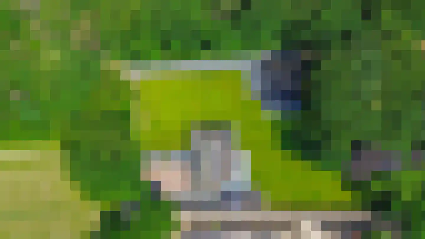 Eendekooi 30 Drunen thumbnail 62