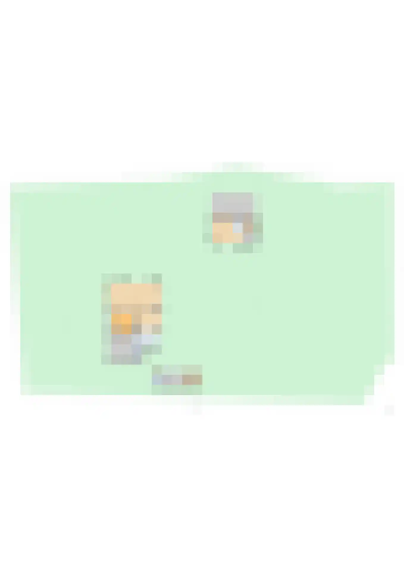 Eendekooi 30 Drunen thumbnail 66