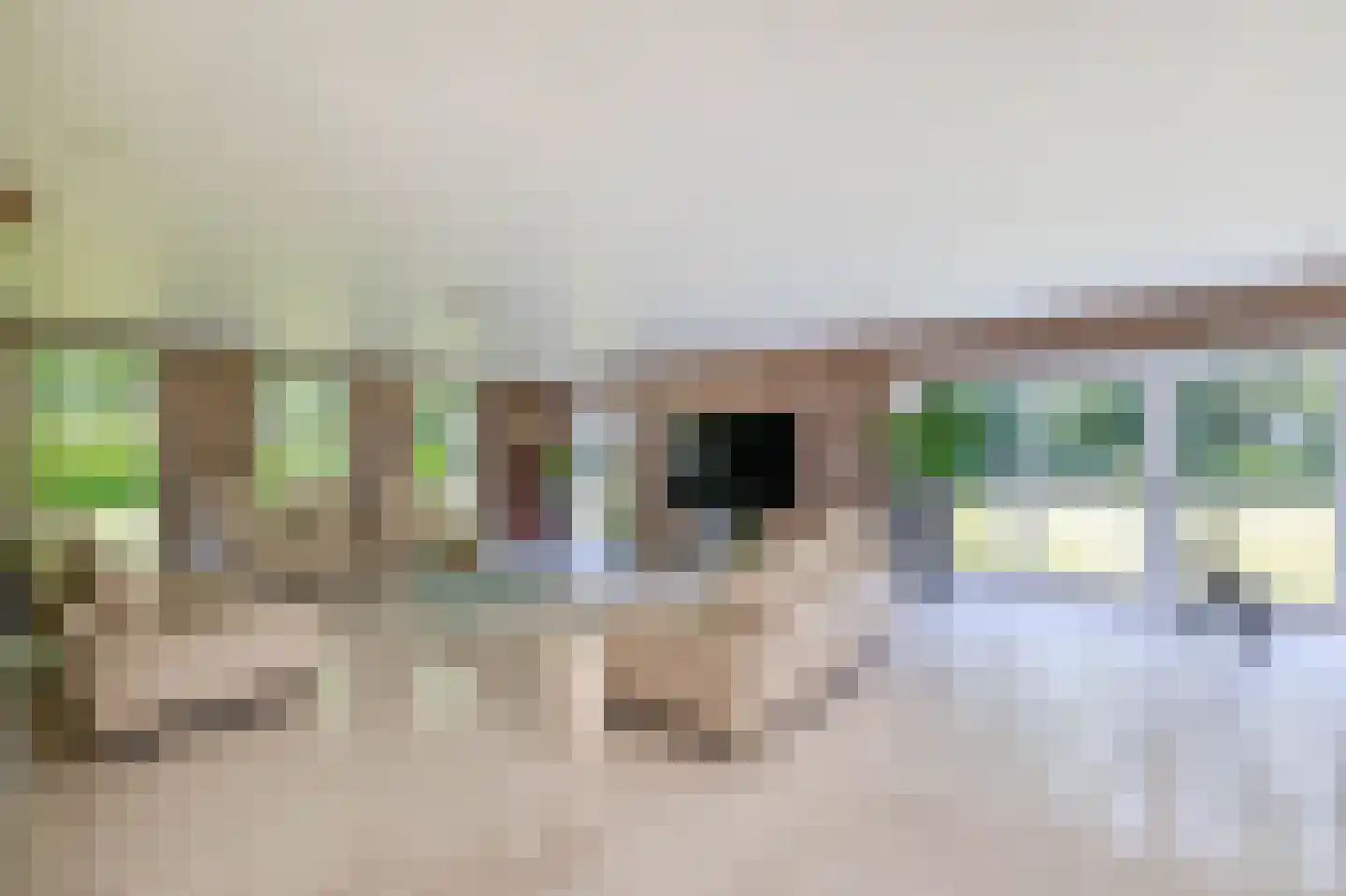 Eendekooi 30 Drunen thumbnail 9