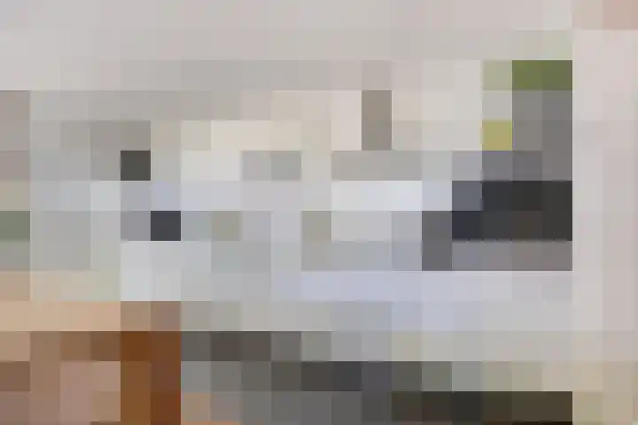 Eendekooistraat 1 Maastricht thumbnail 11