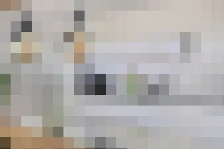 Eendekooistraat 1 Maastricht thumbnail 12