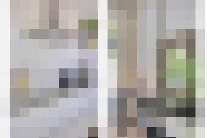 Eendekooistraat 1 Maastricht thumbnail 13