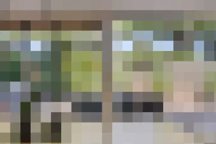 Eendekooistraat 1 Maastricht thumbnail 14