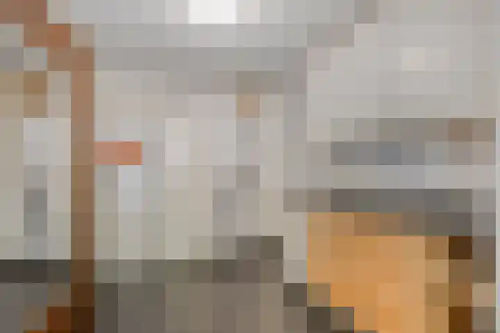 Eendekooistraat 1 Maastricht thumbnail 16