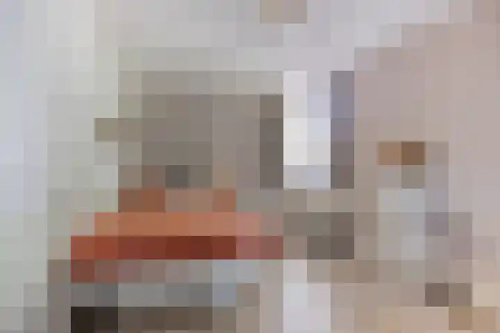 Eendekooistraat 1 Maastricht thumbnail 18