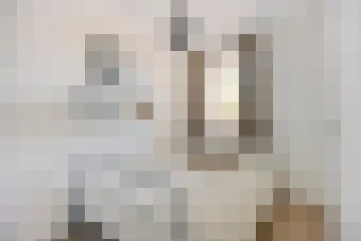 Eendekooistraat 1 Maastricht thumbnail 20