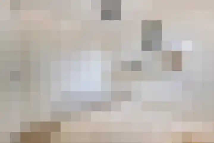 Eendekooistraat 1 Maastricht thumbnail 21