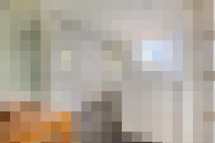 Eendekooistraat 1 Maastricht thumbnail 25