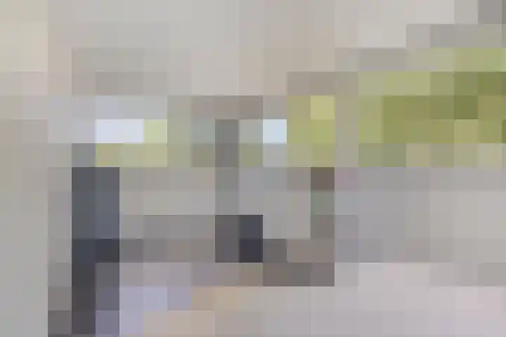 Eendekooistraat 1 Maastricht thumbnail 27