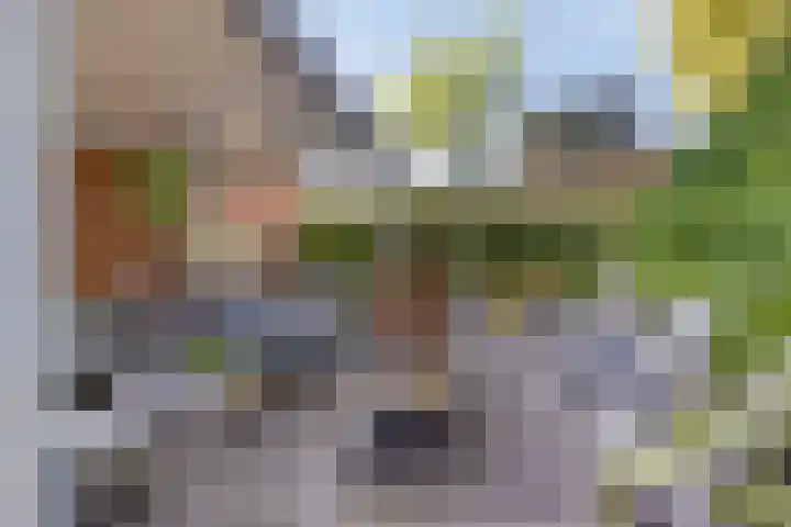 Eendekooistraat 1 Maastricht thumbnail 35