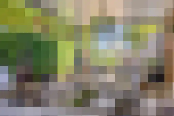 Eendekooistraat 1 Maastricht thumbnail 37