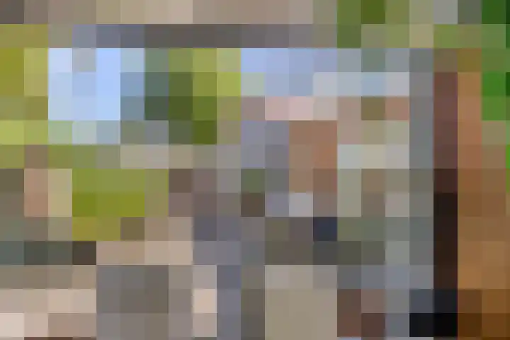 Eendekooistraat 1 Maastricht thumbnail 38
