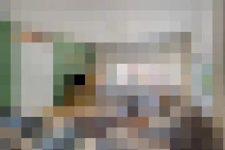 Eendekooistraat 1 Maastricht thumbnail 7