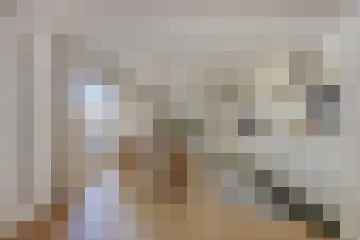 Eendekooistraat 1 Maastricht thumbnail 9