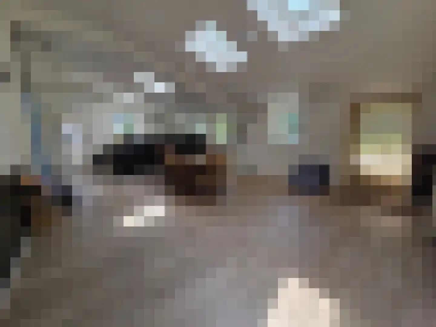 Eendekotsweg 1 Gapinge thumbnail 10