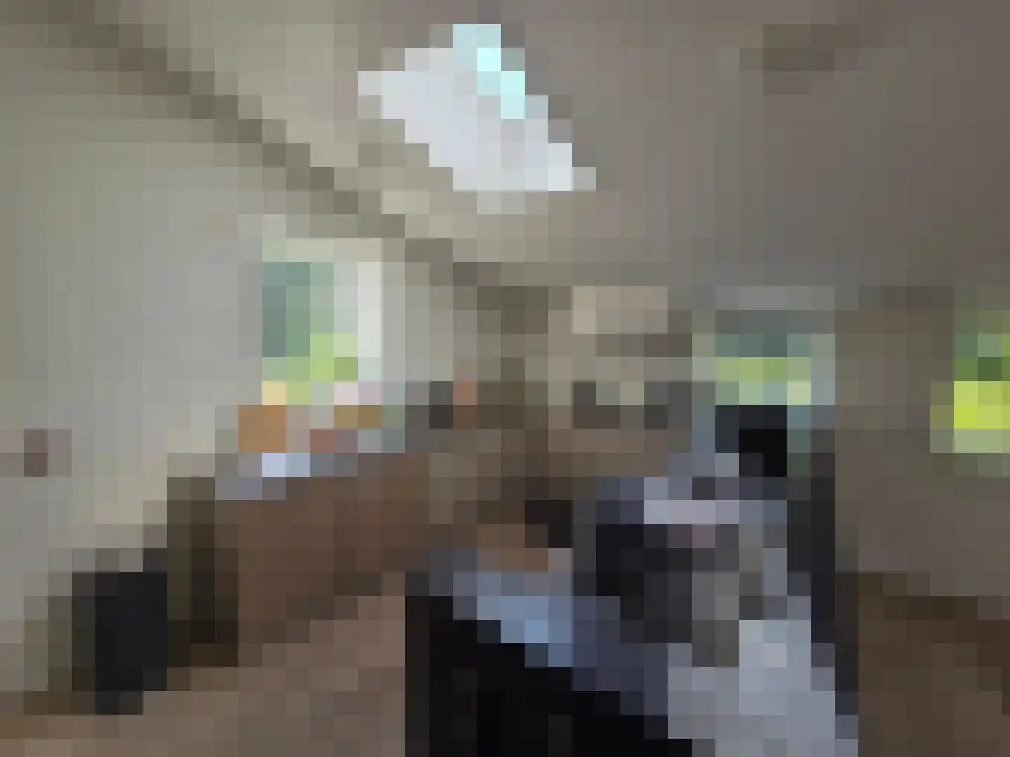 Eendekotsweg 1 Gapinge thumbnail 11