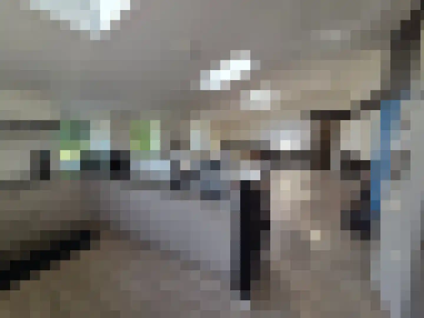 Eendekotsweg 1 Gapinge thumbnail 12