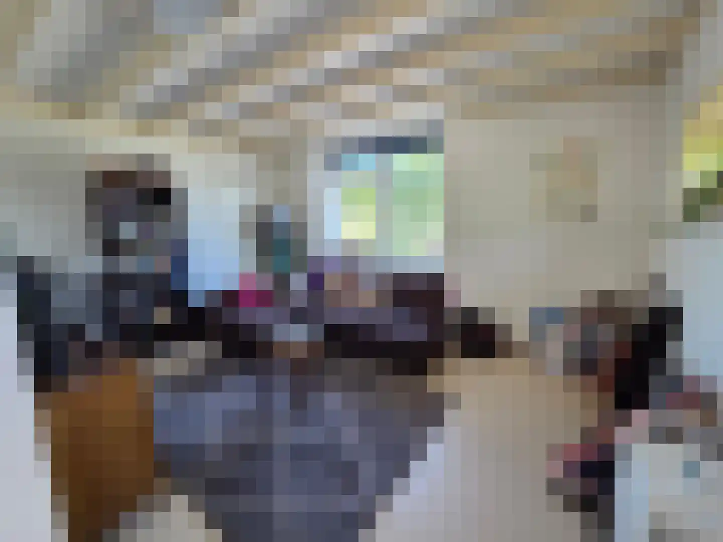 Eendekotsweg 1 Gapinge thumbnail 13