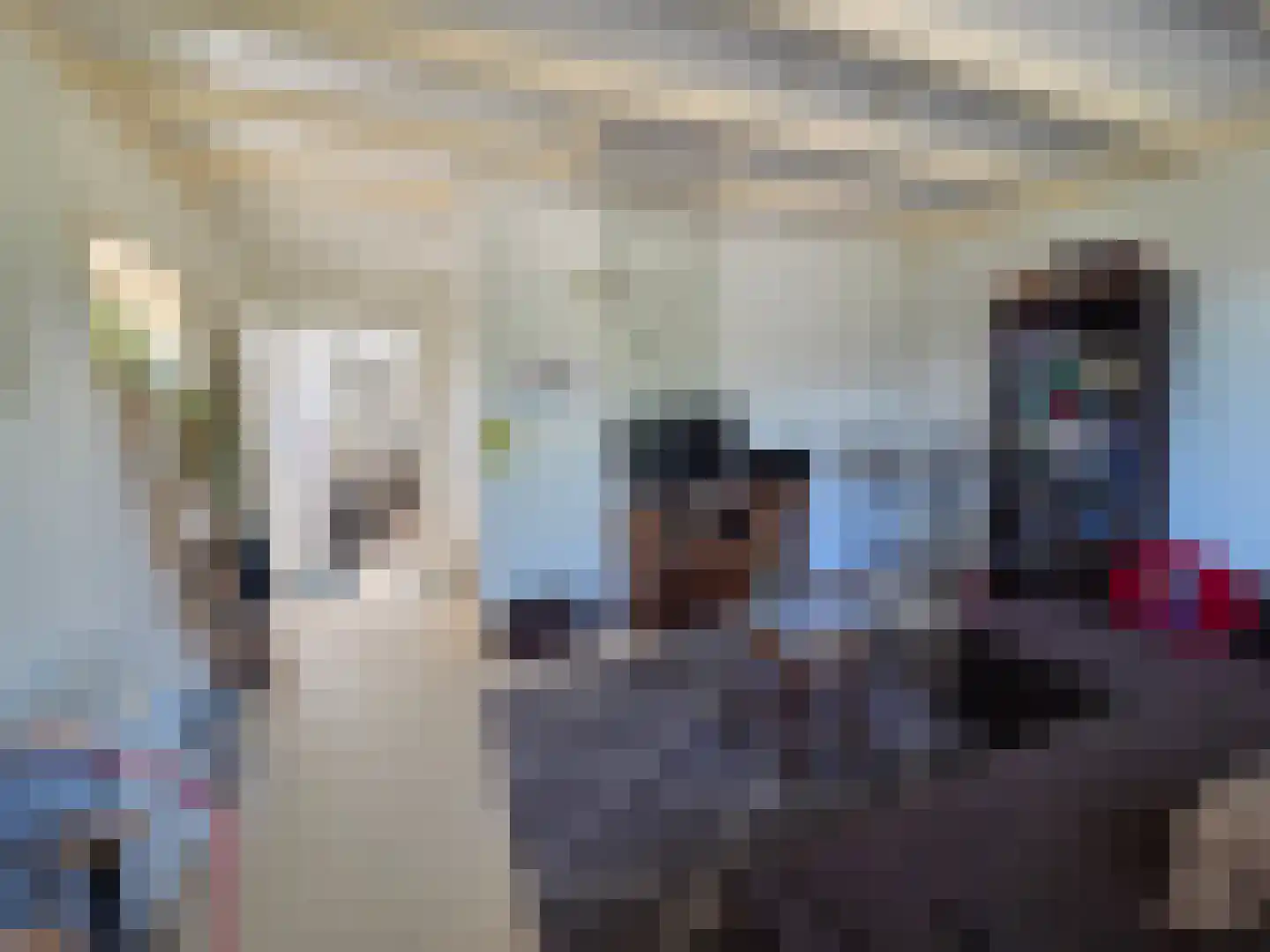Eendekotsweg 1 Gapinge thumbnail 14