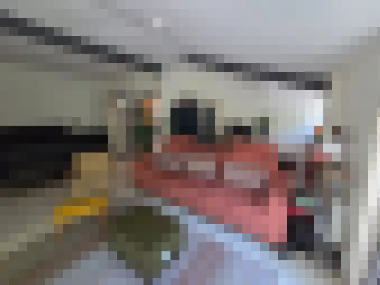 Eendekotsweg 1 Gapinge thumbnail 17