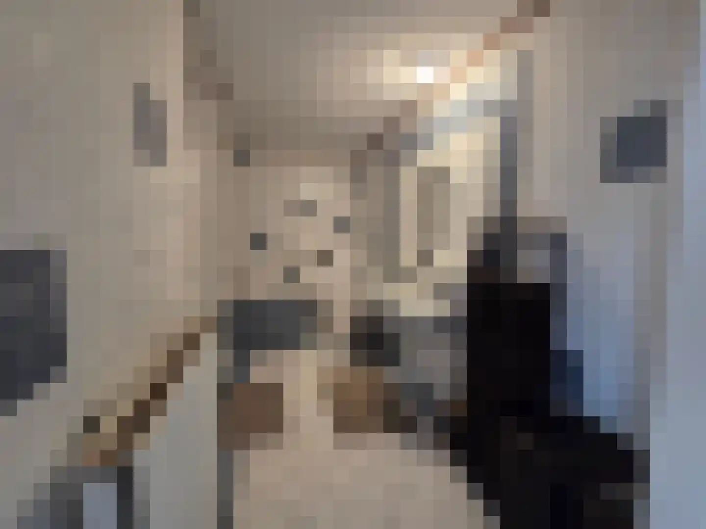Eendekotsweg 1 Gapinge thumbnail 19