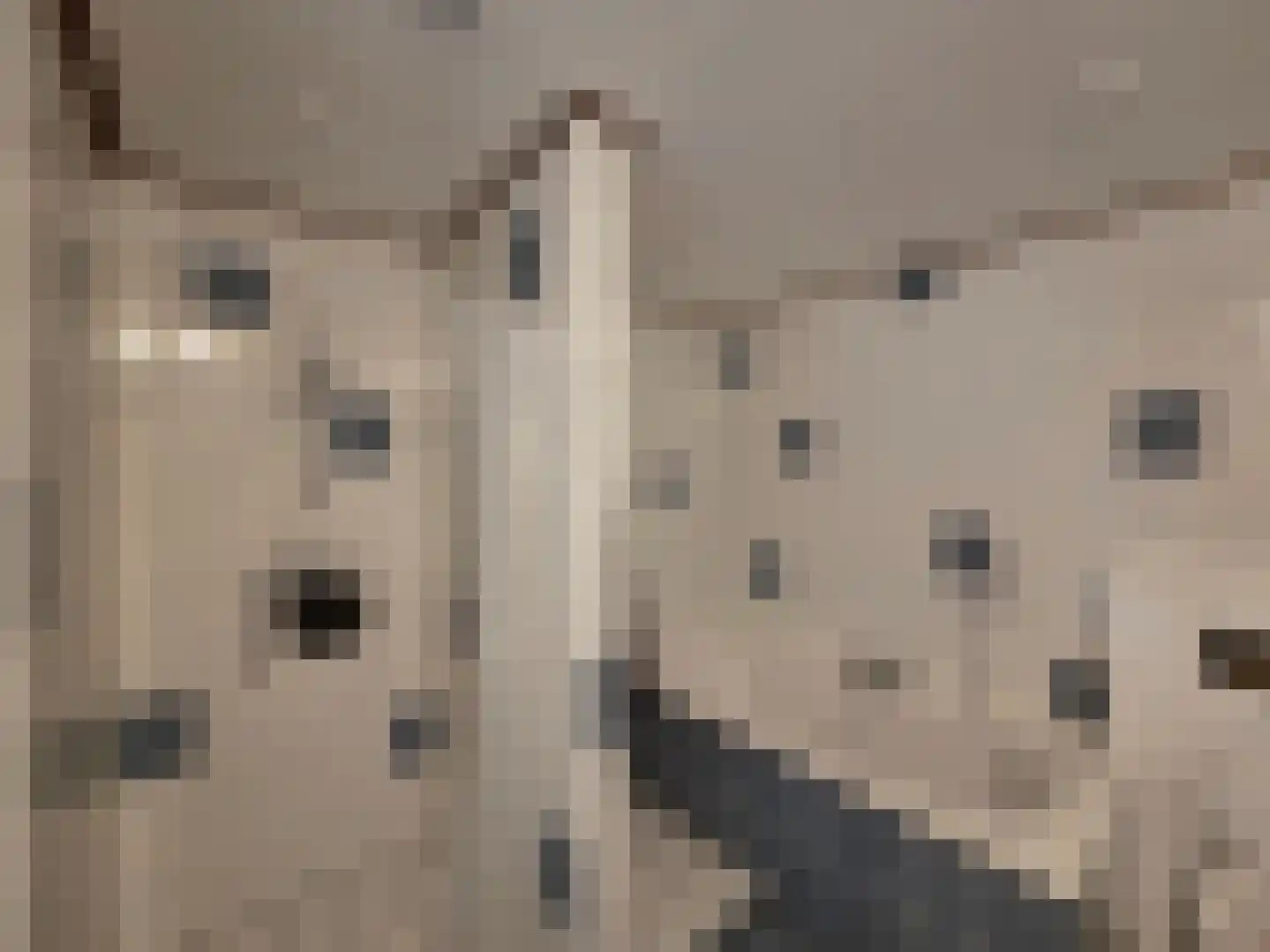 Eendekotsweg 1 Gapinge thumbnail 20