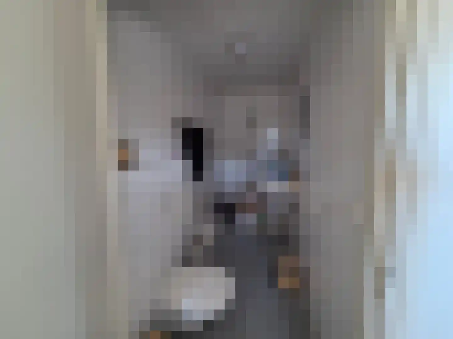 Eendekotsweg 1 Gapinge thumbnail 21