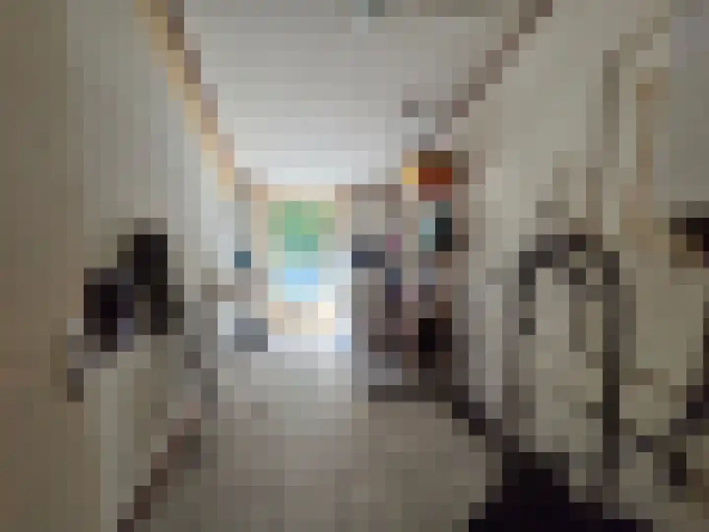 Eendekotsweg 1 Gapinge thumbnail 22