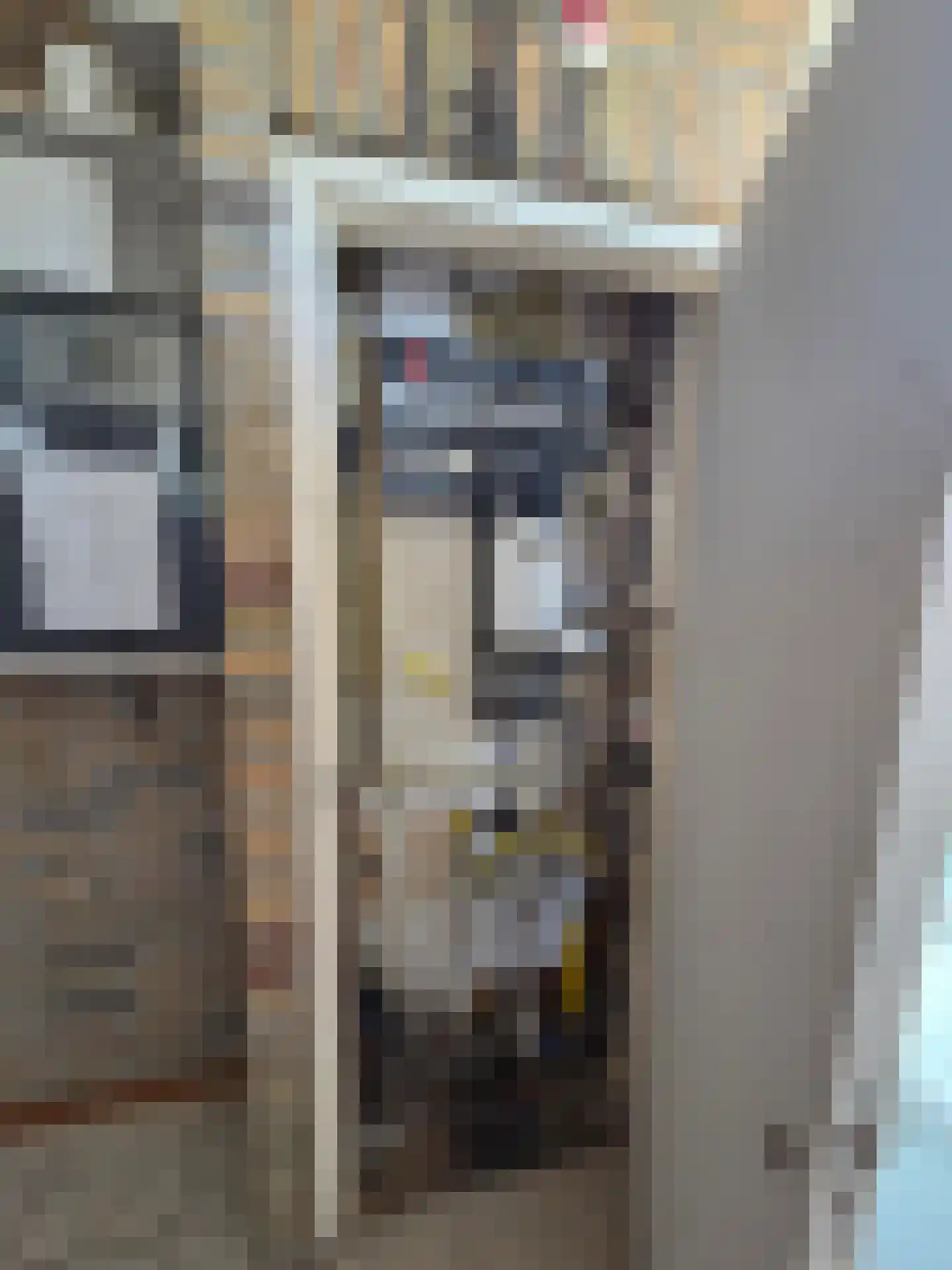 Eendekotsweg 1 Gapinge thumbnail 23